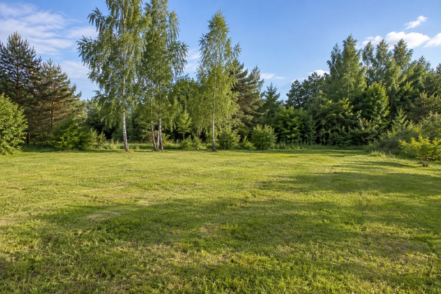 Pavyzdinis skelbimas – Sklypas – Tauragės apskritis